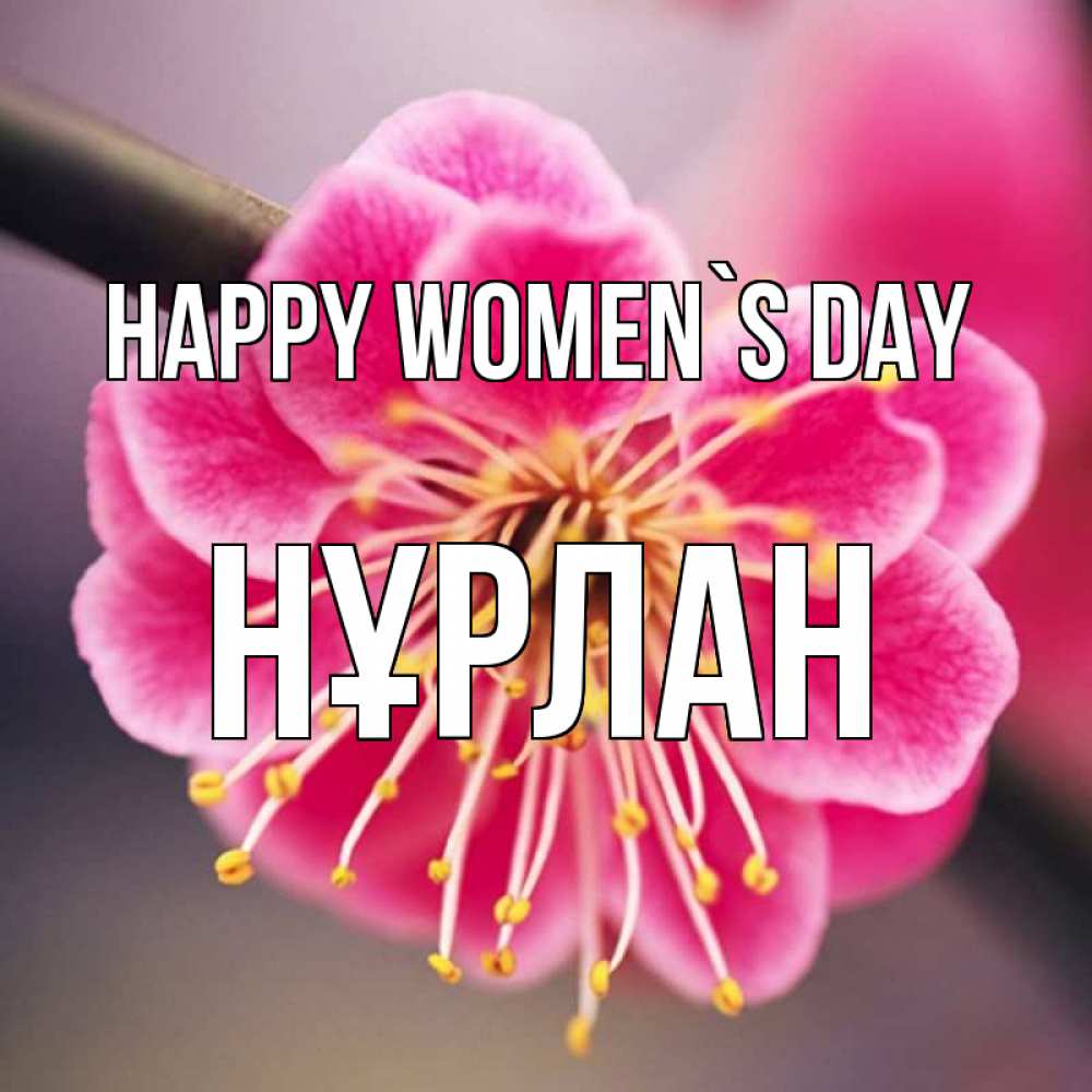 Greetings card с именем, НҰРЛАН happy women`s day цветы Greetings with text for free download 